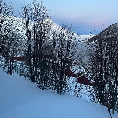 Leilighet Private Cozy In Kaldfjord Tromsø