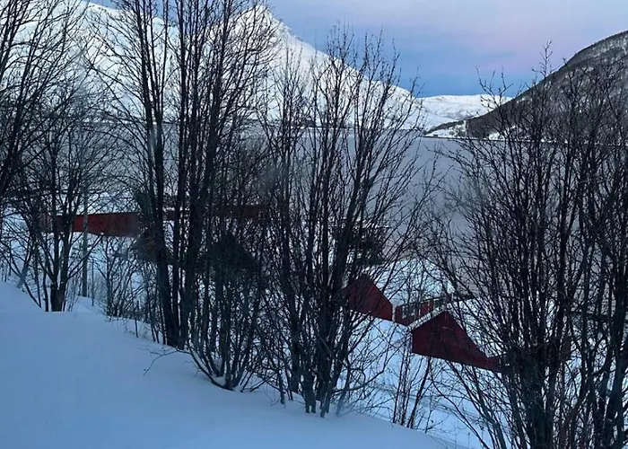 Leilighet Private Cozy In Kaldfjord Tromsø